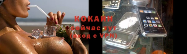 твердый Дмитровск