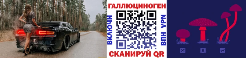 Псилоцибиновые грибы прущие грибы  Купить где  Кирс 